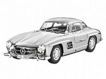  300 SL, W198 (19541956)